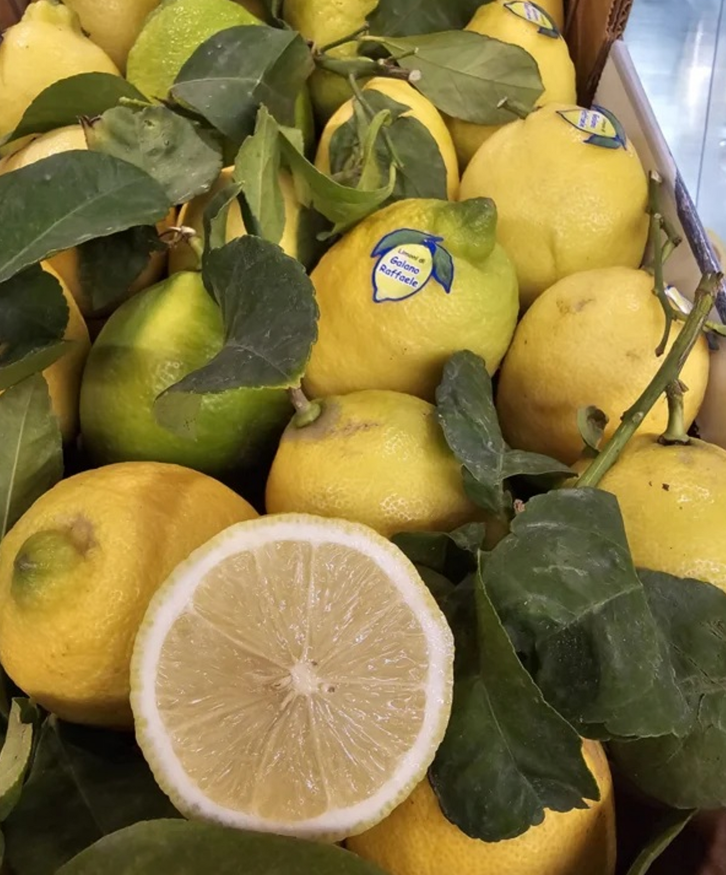 Workshop zelf Limoncello maken