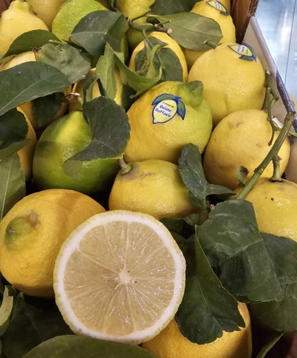 Workshop zelf Limoncello maken